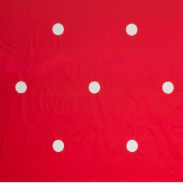 paillage fraisier avec film rouge