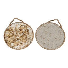 demi noix de coco pour oiseaux