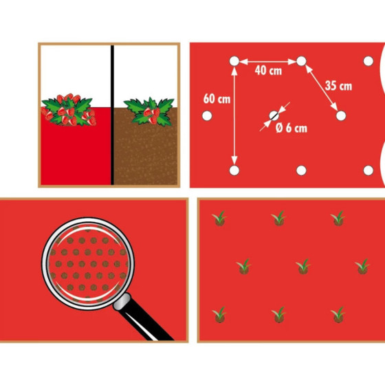 film de paillage pour tomates