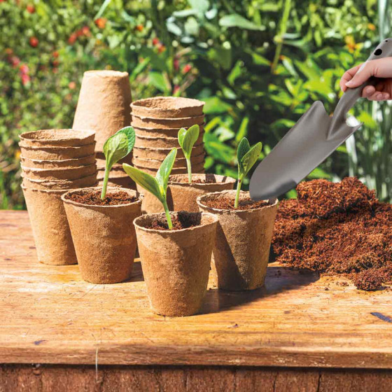 pots semis biodégradables et transplantoir en acier