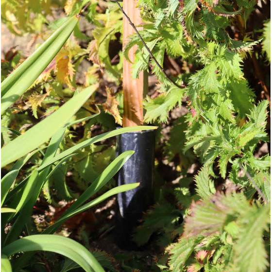 treillage bois français avec cone anti pourrissement