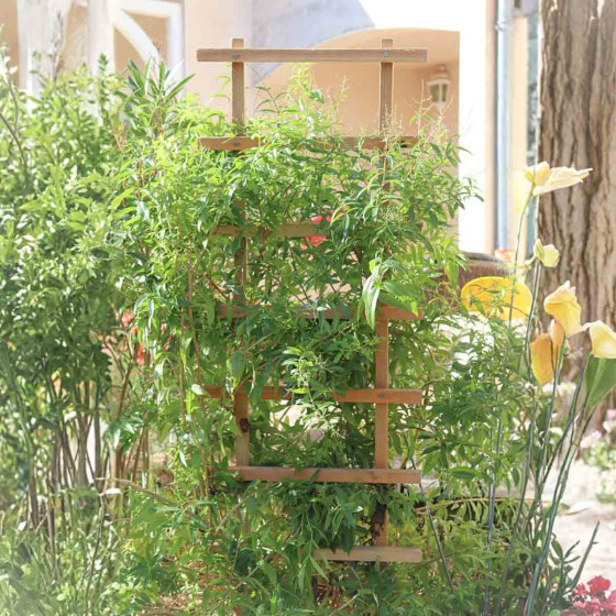 support en bois pour plantes grimpantes