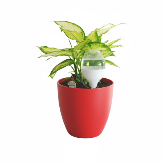 Goutteur et pic d'ancrage IRISO