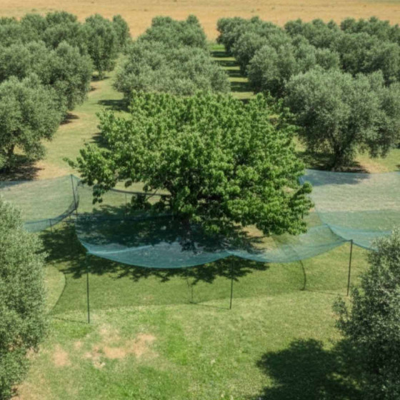 filet de recolte suspendu