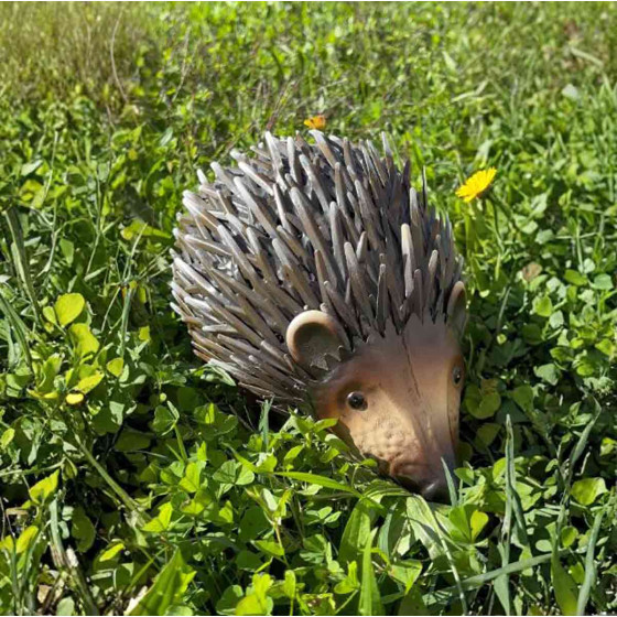 herisson decoration jardin