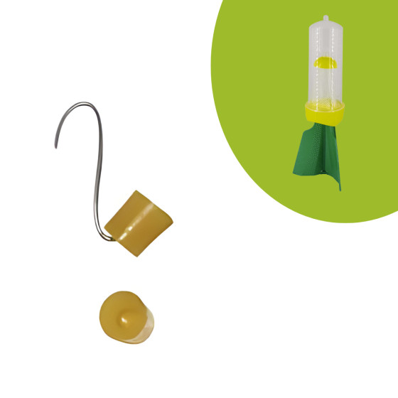 Recharge pour piege a punaise diabolique