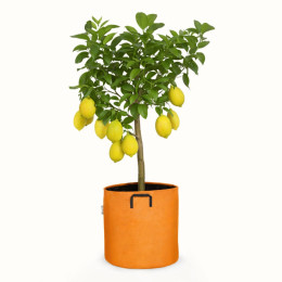 pot en tissu orange 50 litres