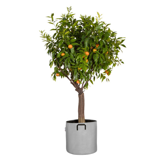 sac a plantation 50L