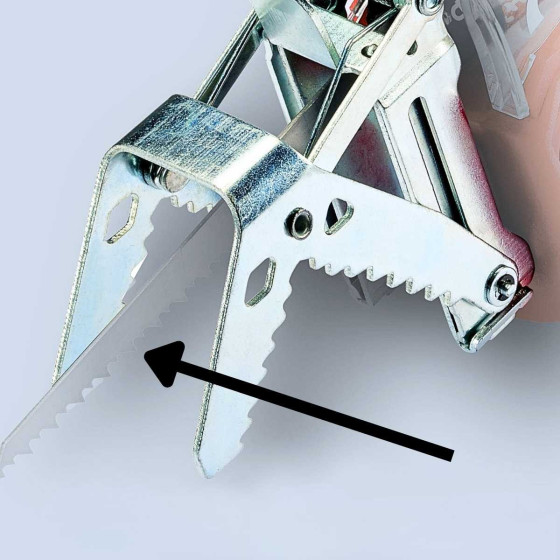 lame de rechange pour coupe branche Einhell