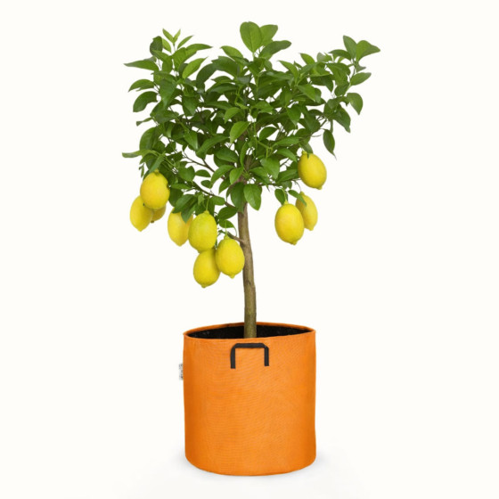 pot en tissu orange 50 L
