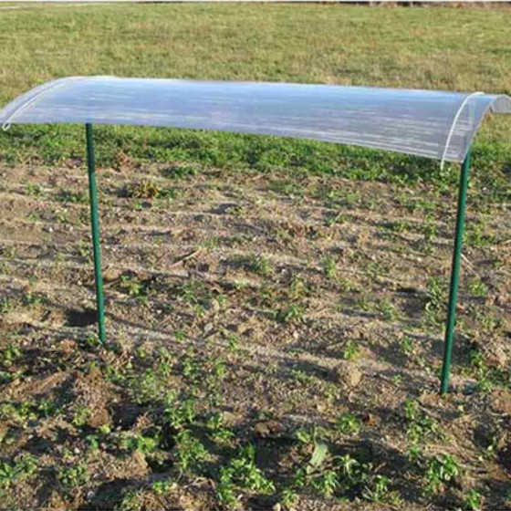 Abri pour tomate réglable en hauteur