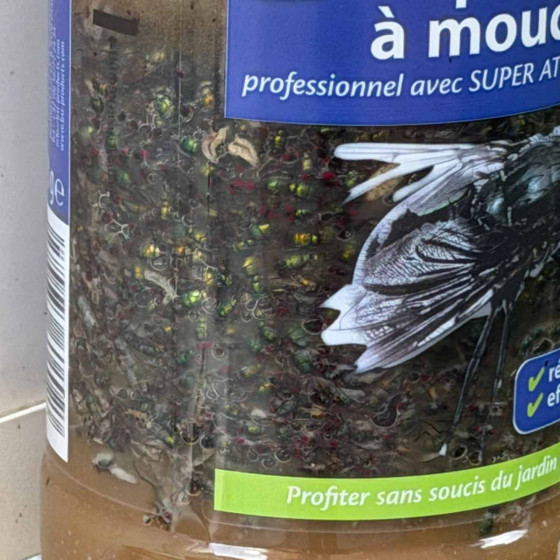 piege pour mouche