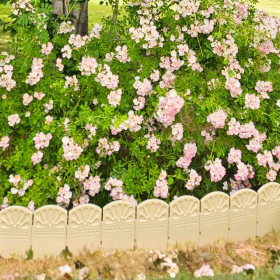 bordure blanche decorative