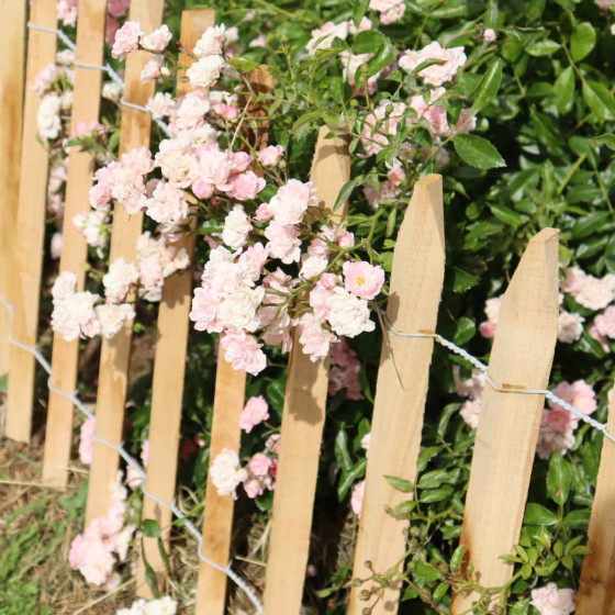 cloture de jardin en bois