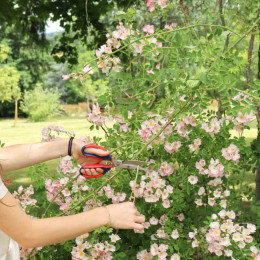 ciseaux de jardin multifonction