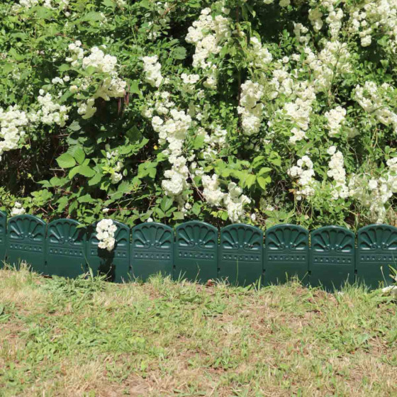 bordure de jardin verte