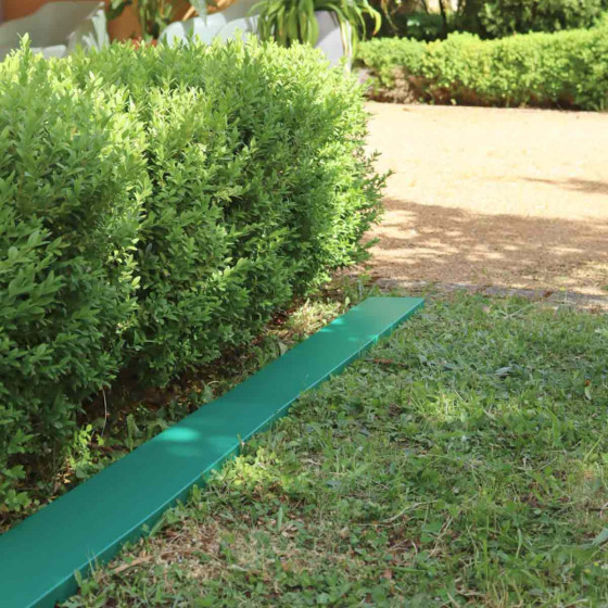 bordure de jardin verte