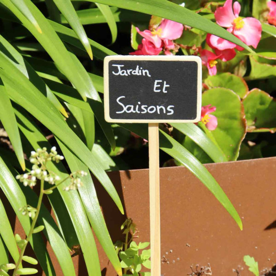 etiquette de jardin en bois