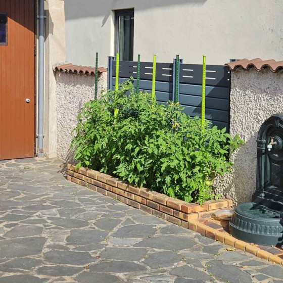 tuteurs pour tomates