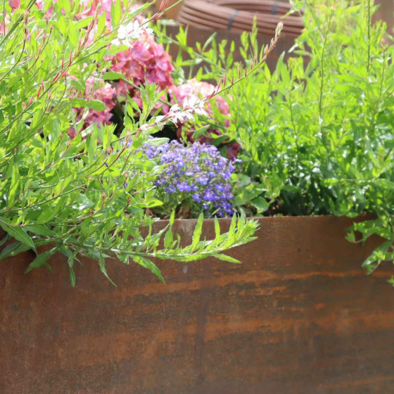 acier corten apres plusieurs mois