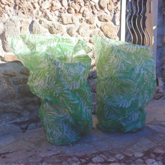 housse hivernage protection plantes du froid et gel