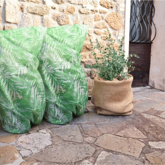 housse hivernage pour plante et arbuste