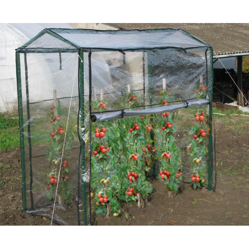 Serre de jardin tomate 150x100x50 Bâche pour serre tomates Protection tomates