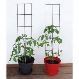 treillis à planter dans le sol