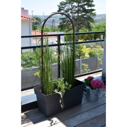 Petite arche de jardin pour plantes grimpantes