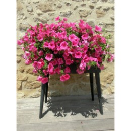 Bac potager sur pied 40 L gris et vert tilleul