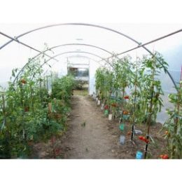 Serre jardin tunnel largeur 4,50 m