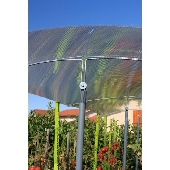 Abri à tomates réglable en hauteur avec toit en polycarbonate