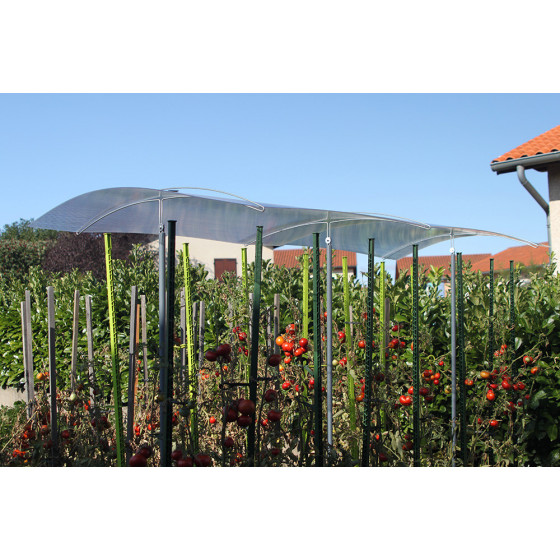 toit pour tomates pour protéger les tomates des intempéries