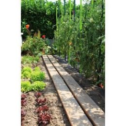 Chemin potager en bois douglas