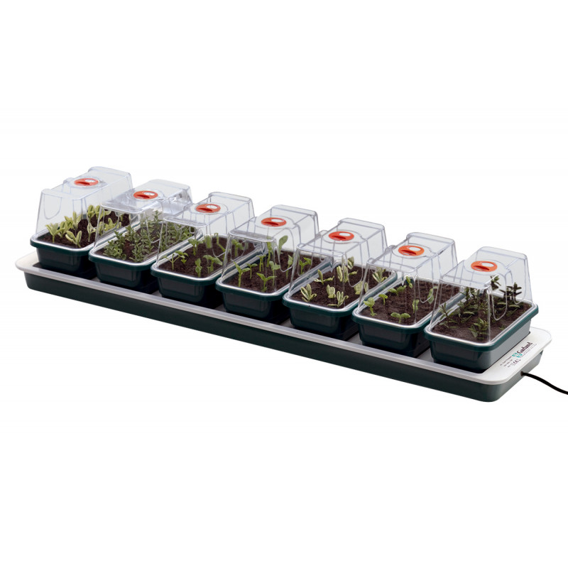 Mini serre avec thermostat semis pour horticulture chauffageSARL