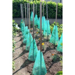 Cône de forçage potager 50 cm diamètre 30 cm