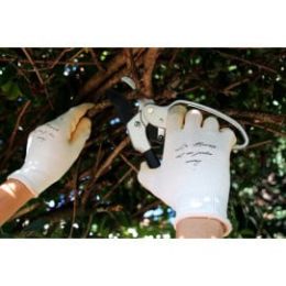 Gants de jardinage