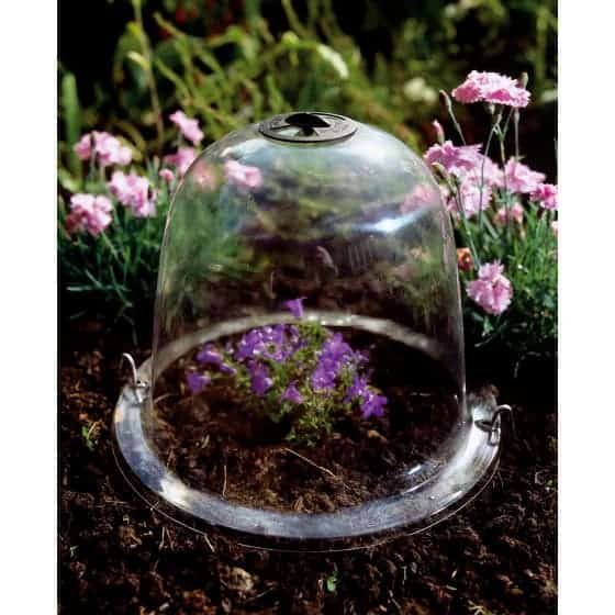 cloche de jardin victorienne