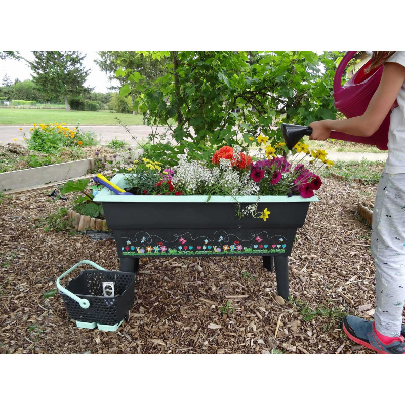 Brouette De Jardin Avec Terre Et Outils Pour Planter Des Légumes Et Des  Fruits