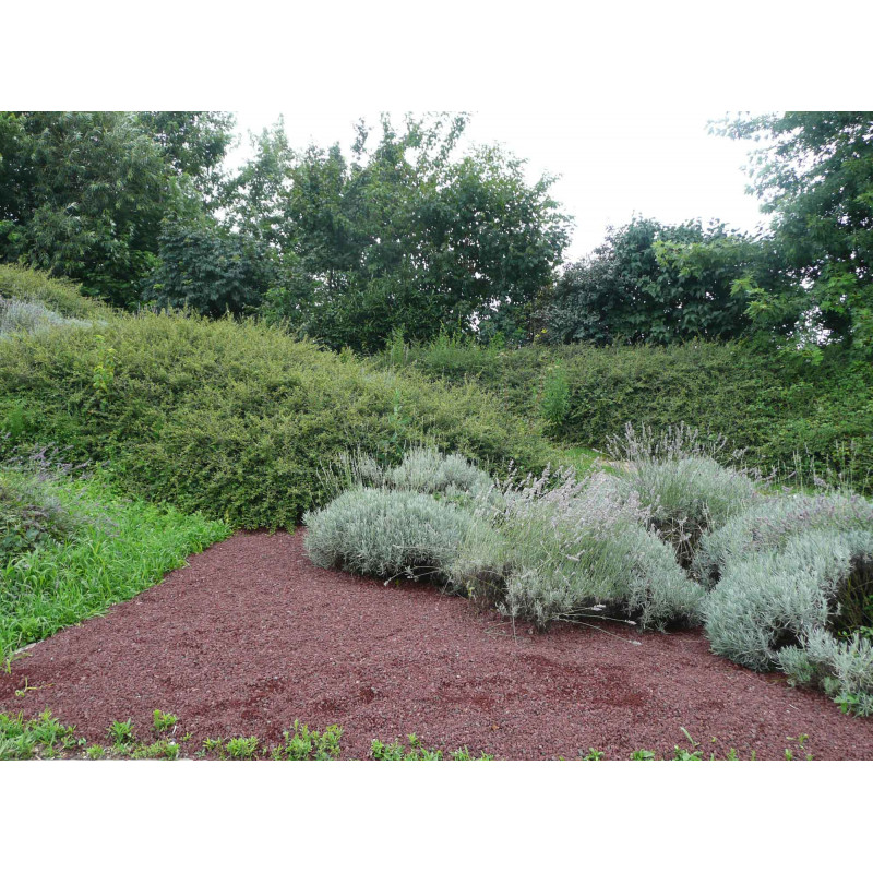 Pouzzolane : paillage, drainage, toutes ses utilisations au jardin ou en pot