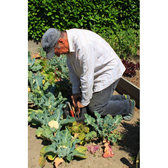 Repose genoux jardin