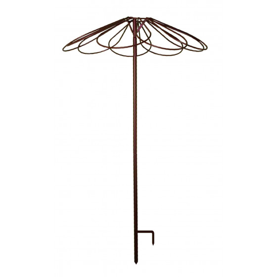 Tuteur parapluie pour rosier pleureur en acier fer vieilli