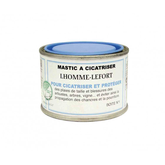 Mastic à cicatriser LHOMME LEFORT 75 g