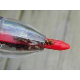 semoir manuel pour petites graines