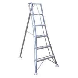 echelle japonaise de cueillette