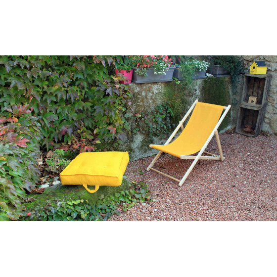 Chilienne de jardin jaune safran
