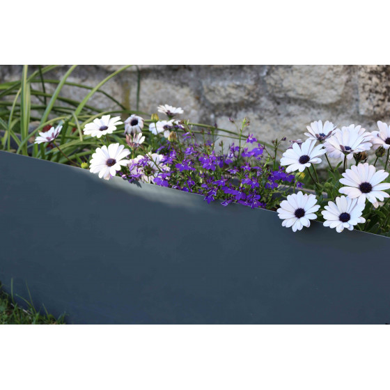 Bordure de jardin grise avec fleurs