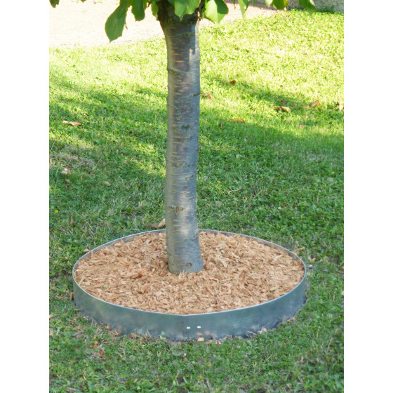 bordure en acier galvanisé contour arbre
