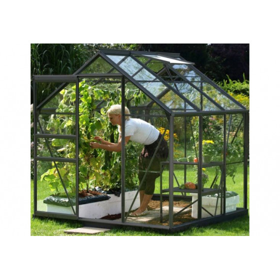 serre de jardin verre 3,7 m2 gris anthracite
