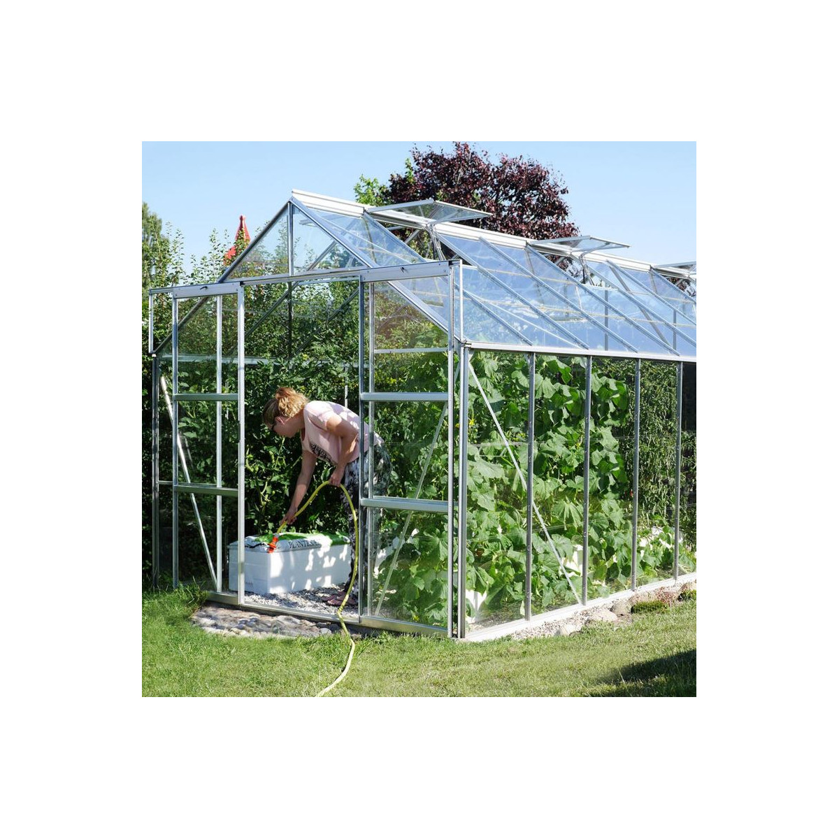Serre de jardin en verre trempé LAURUS 12,90m² - Aluminium naturel